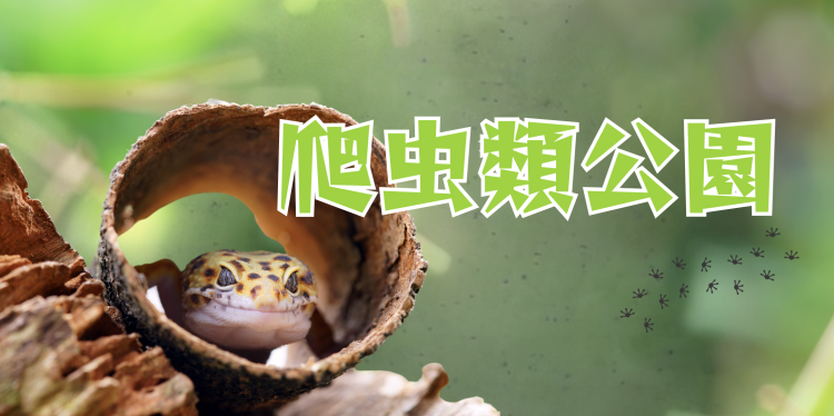 爬虫類公園